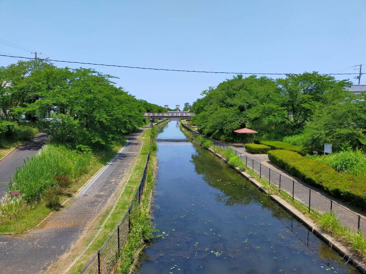 金玉神社