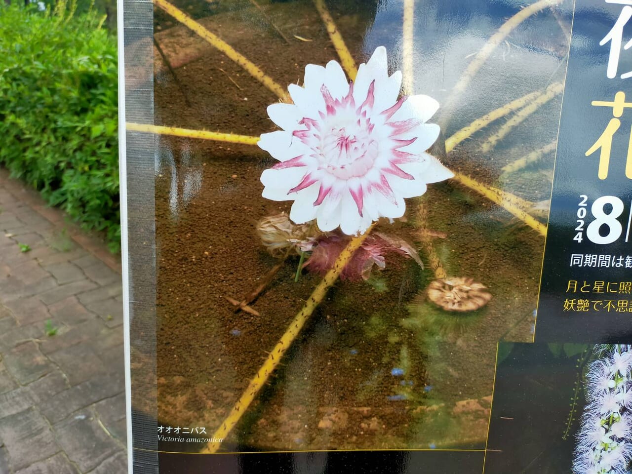 県立植物園