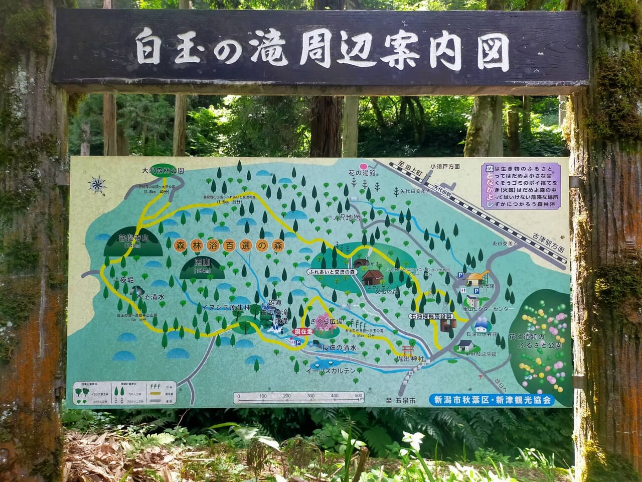 白玉の滝