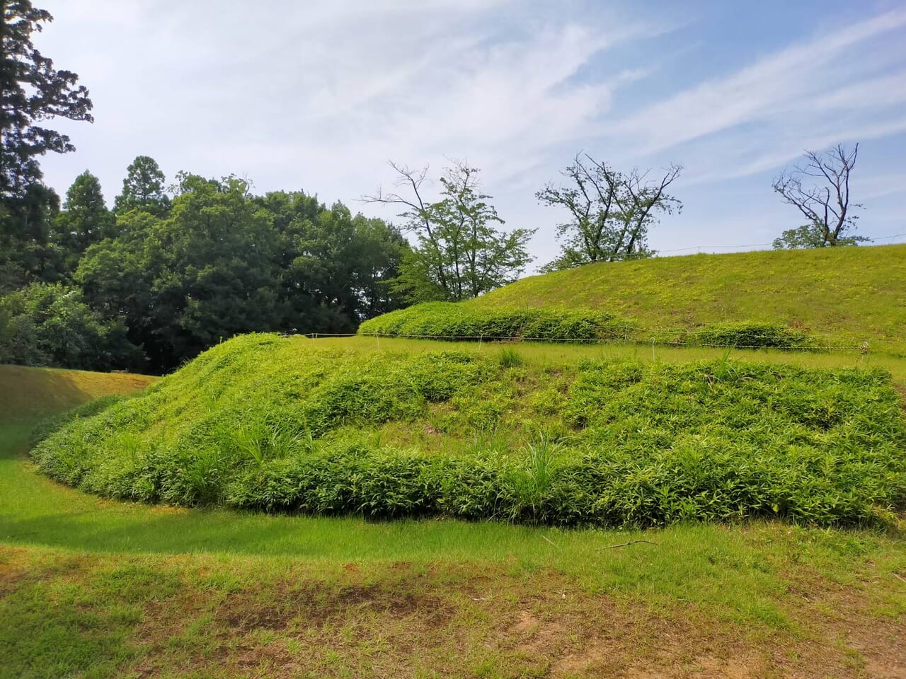 古津八幡山遺跡