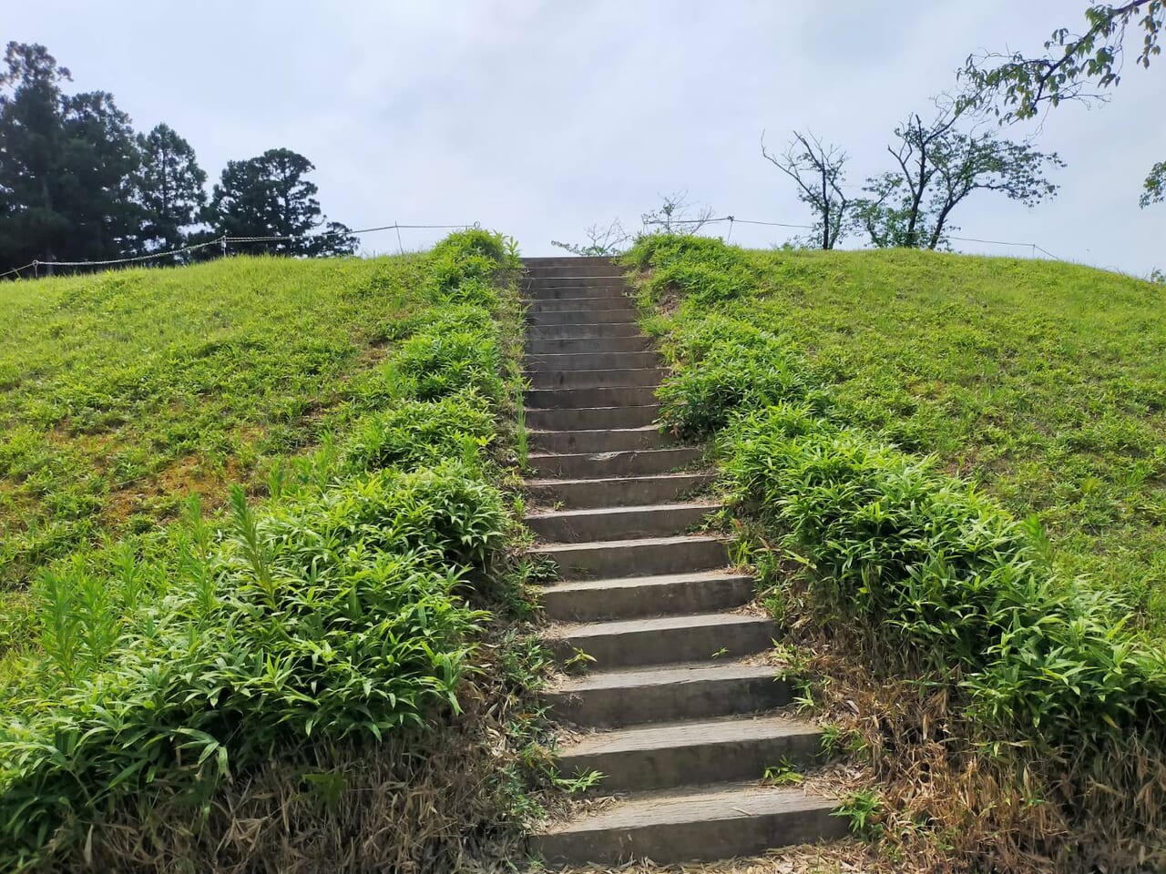 古津八幡山遺跡
