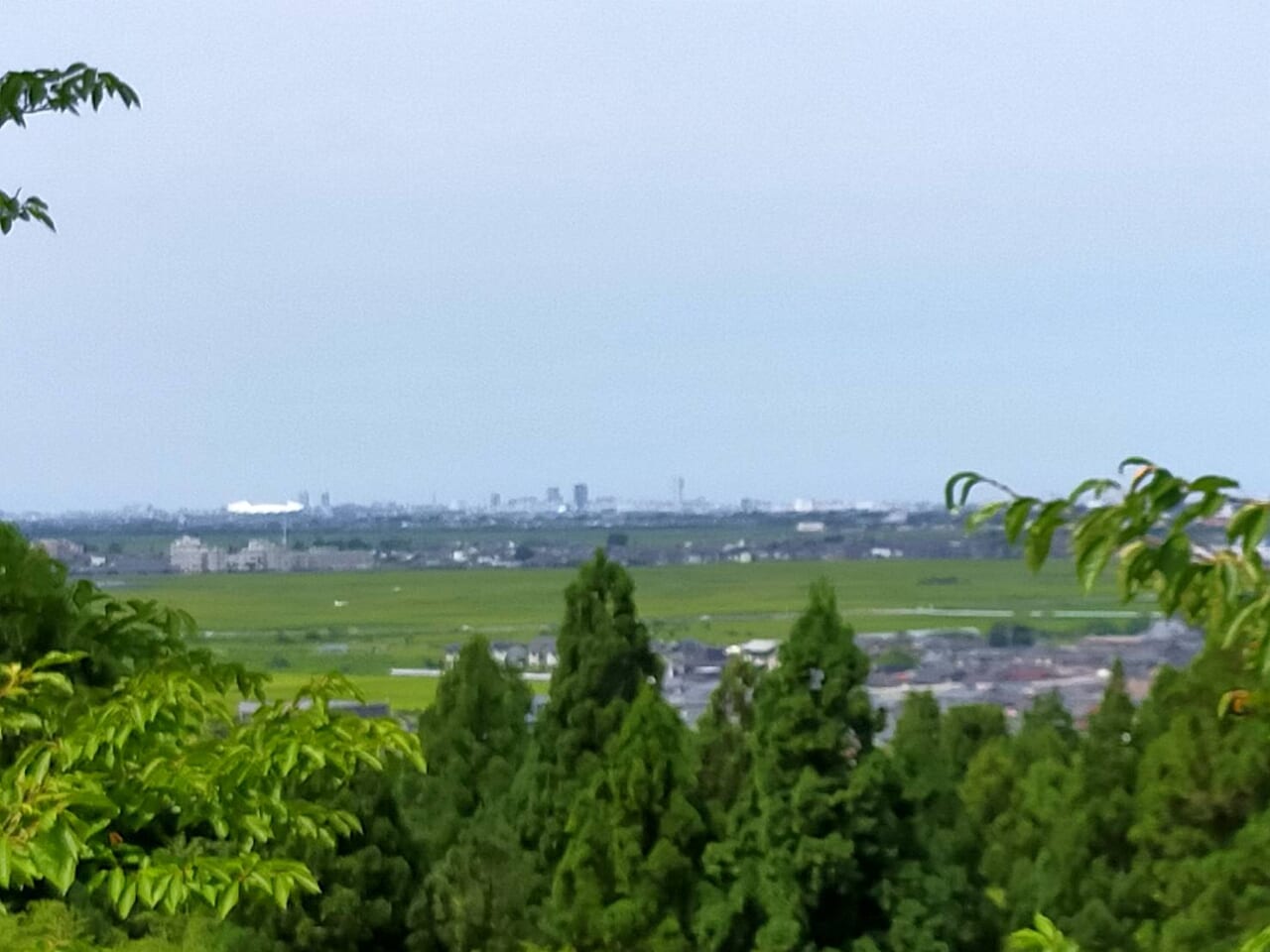 古津八幡山遺跡