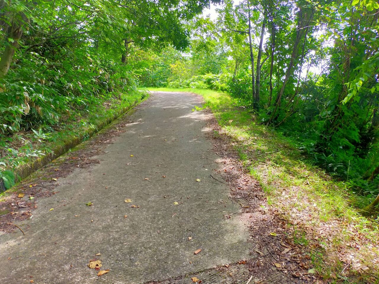 古津八幡山遺跡