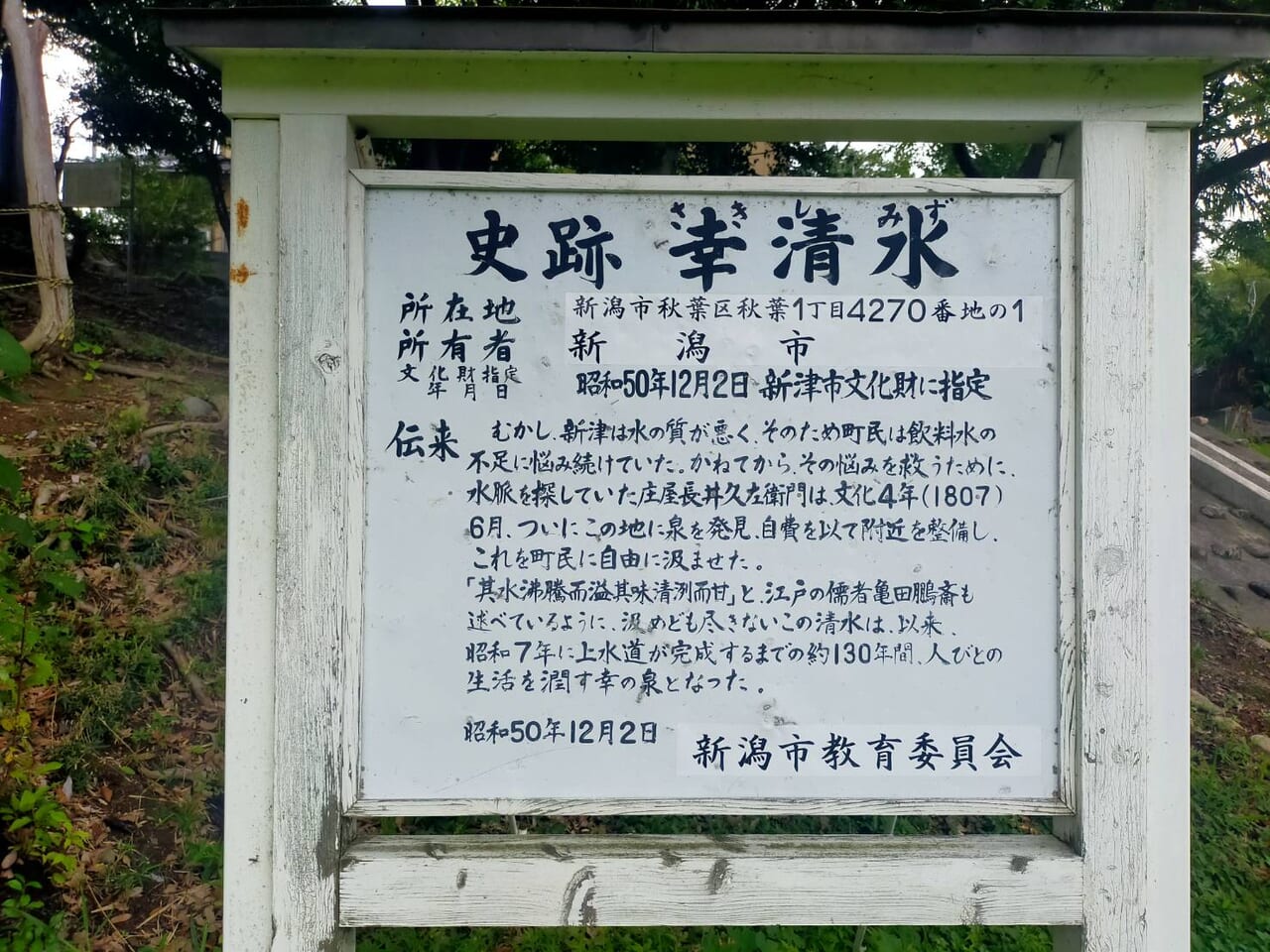 幸清水