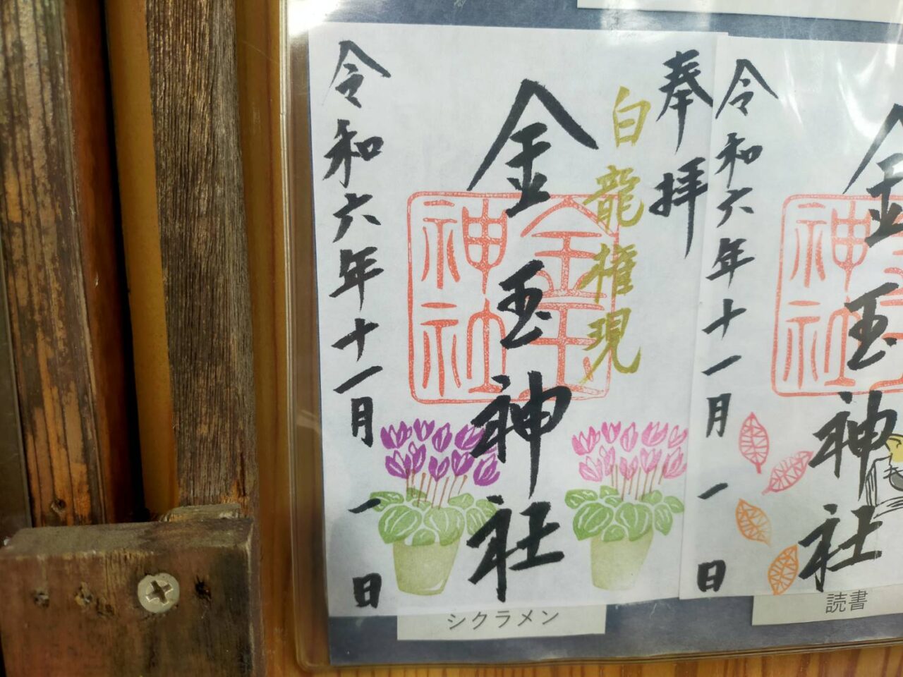 金玉11月