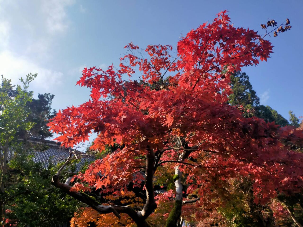 中野邸