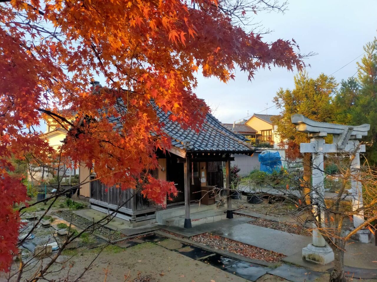 金玉神社