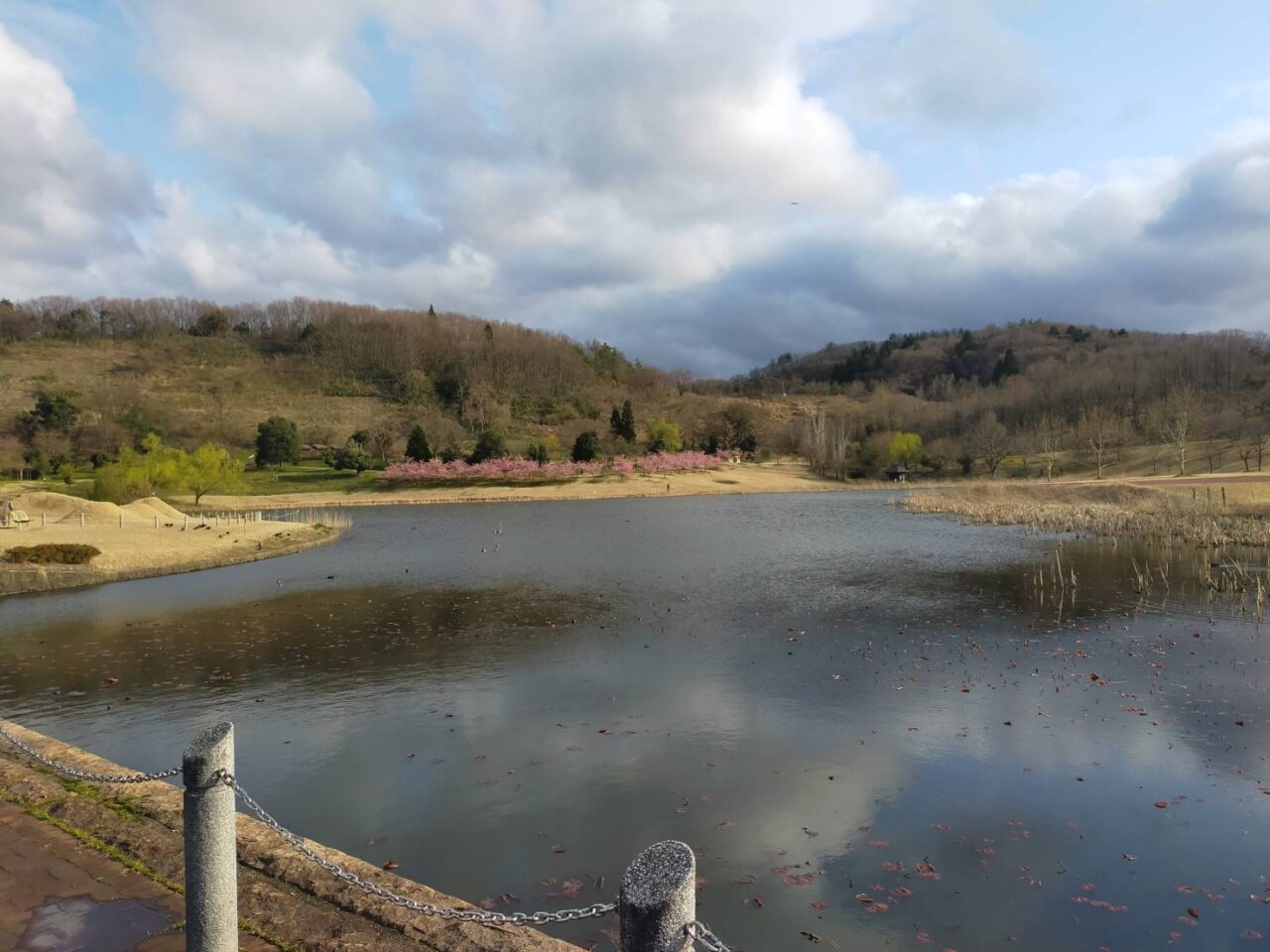 野外園地