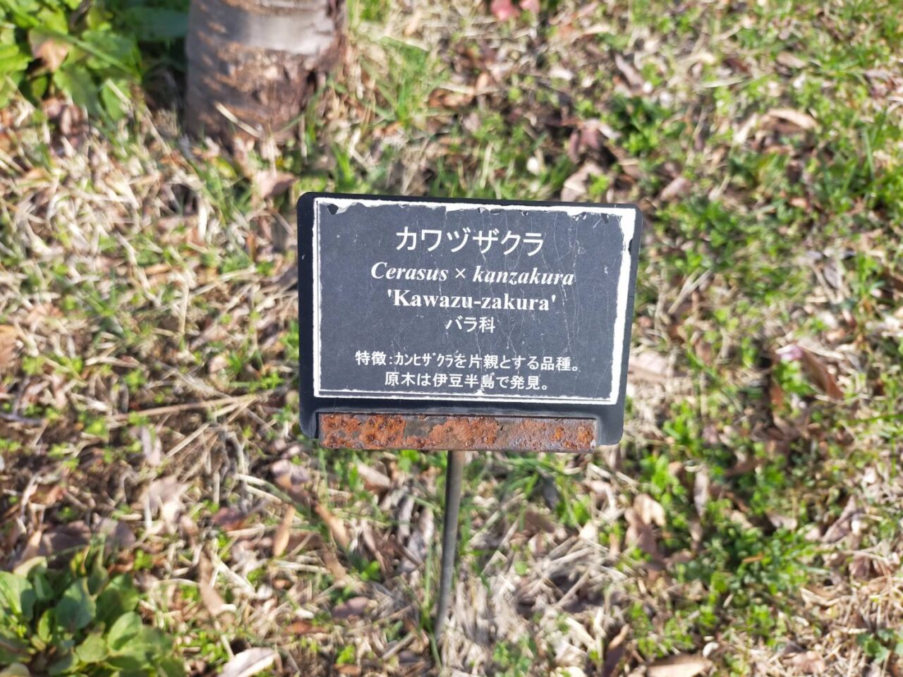 野外園地