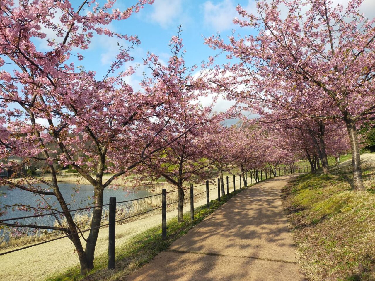 野外園地