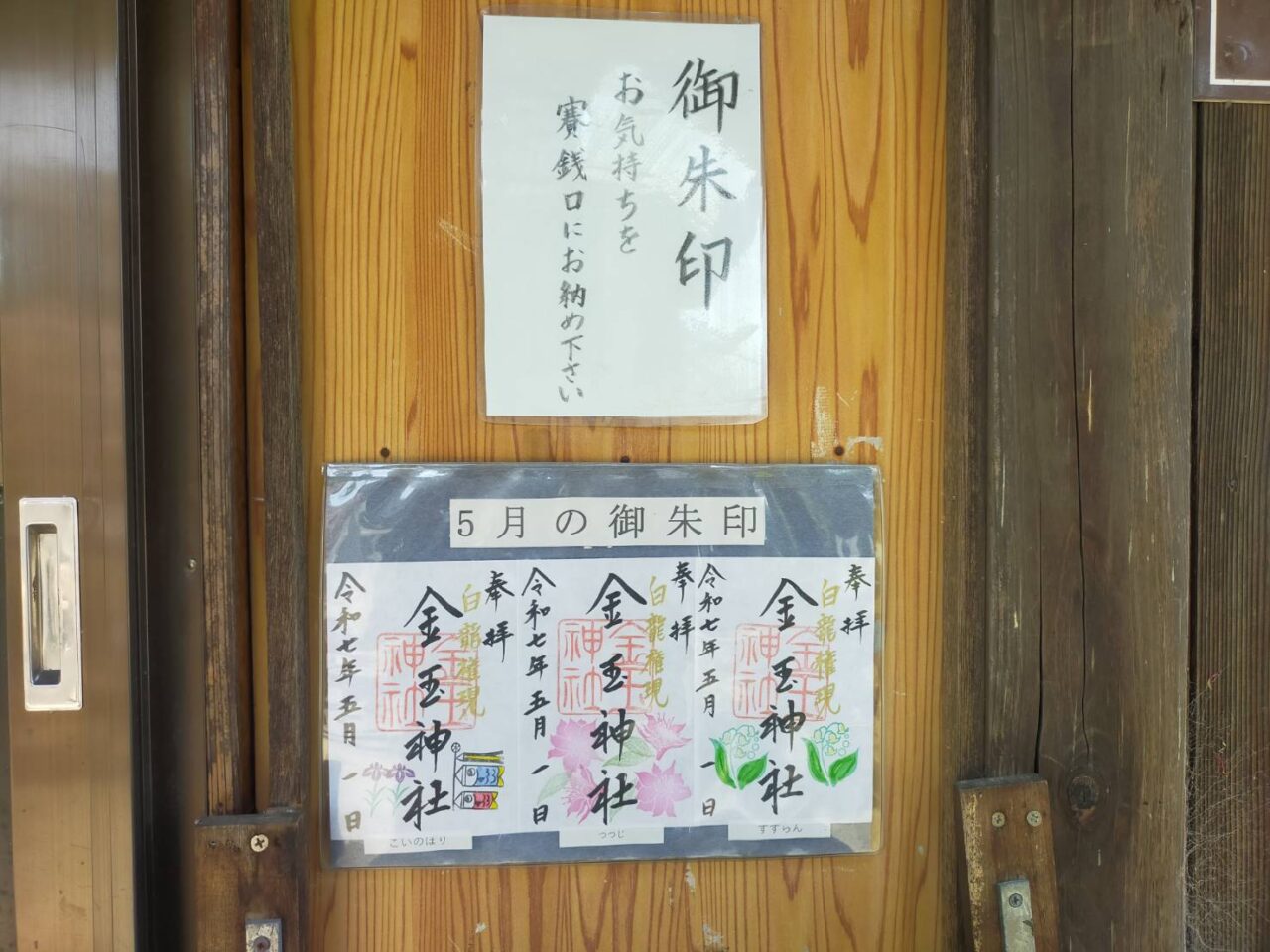 金玉5月