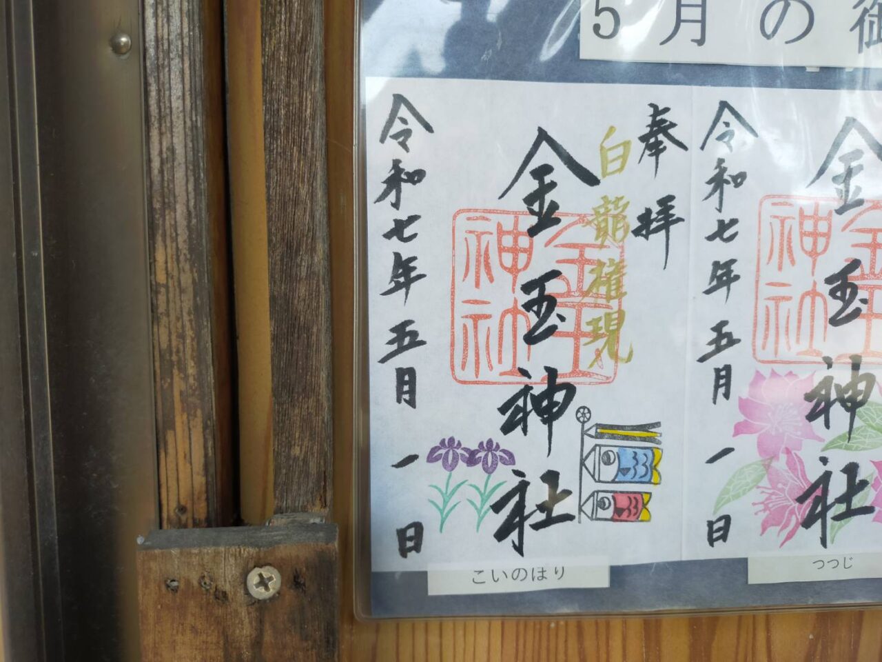 金玉5月
