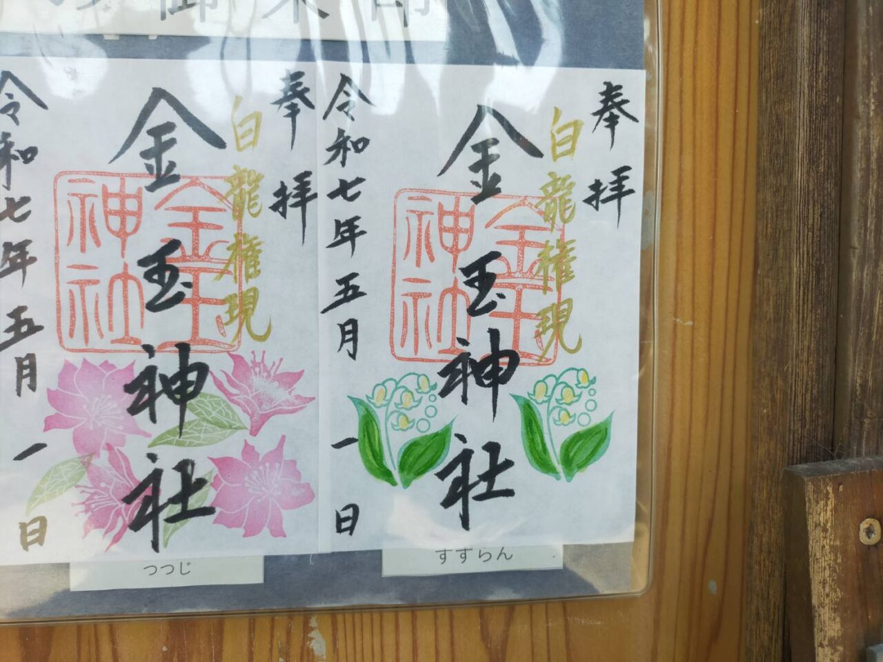 金玉5月