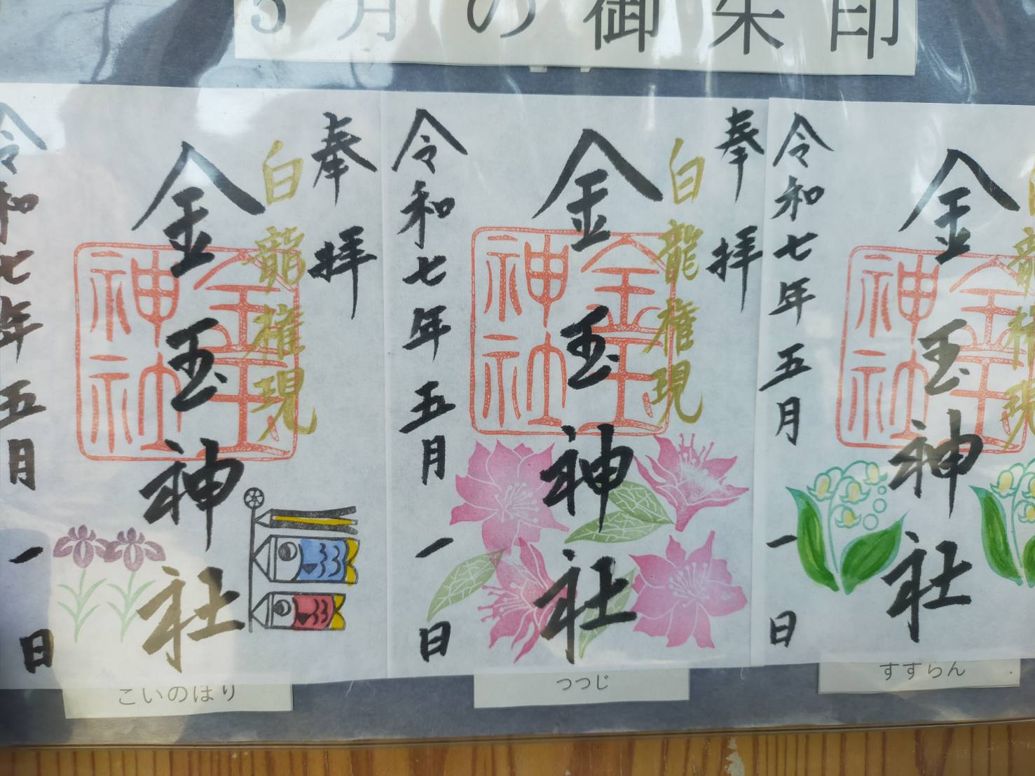 金玉5月