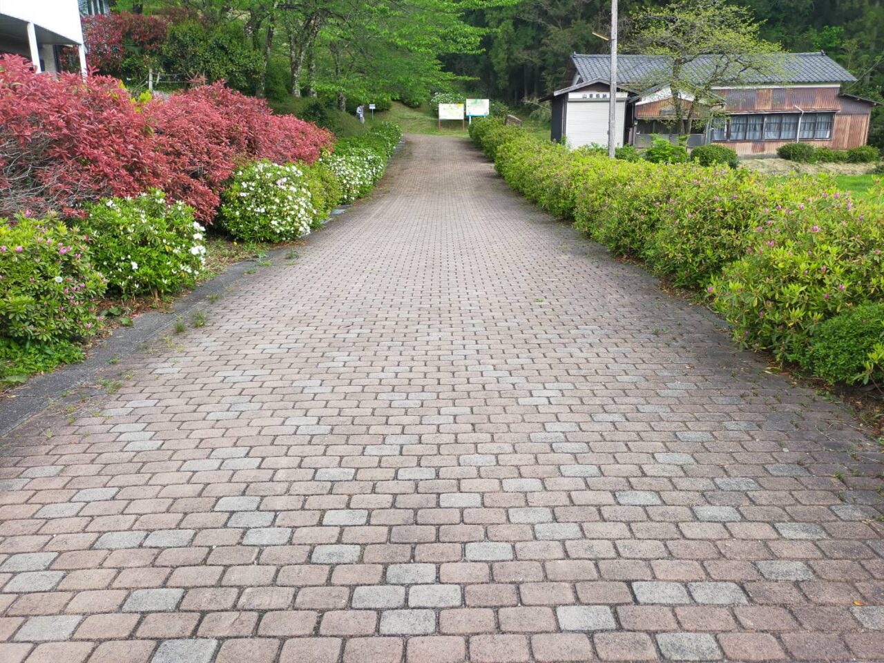 さつき山