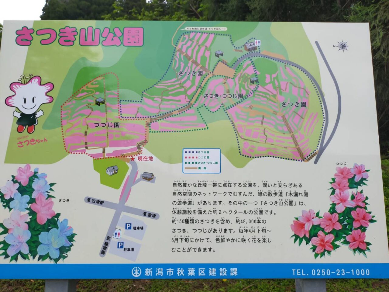 さつき山