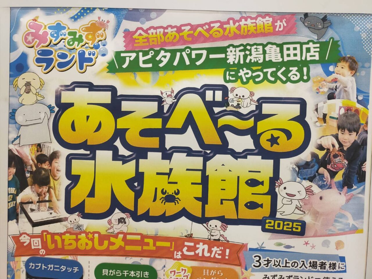 アピタ水族館