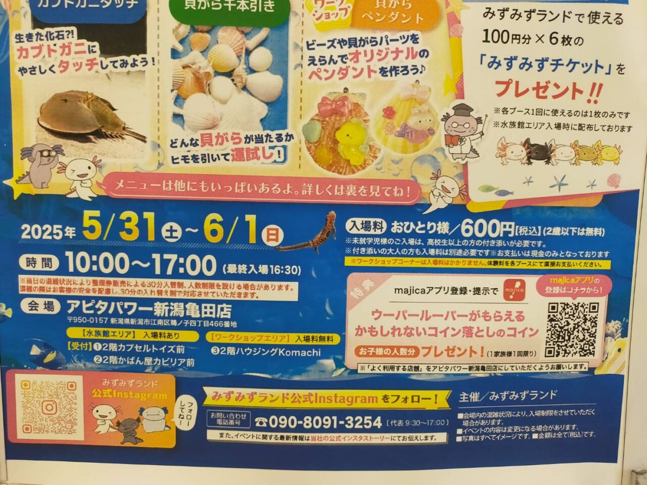 アピタ水族館