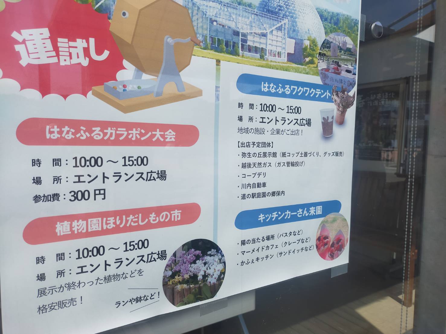 花フェスタ
