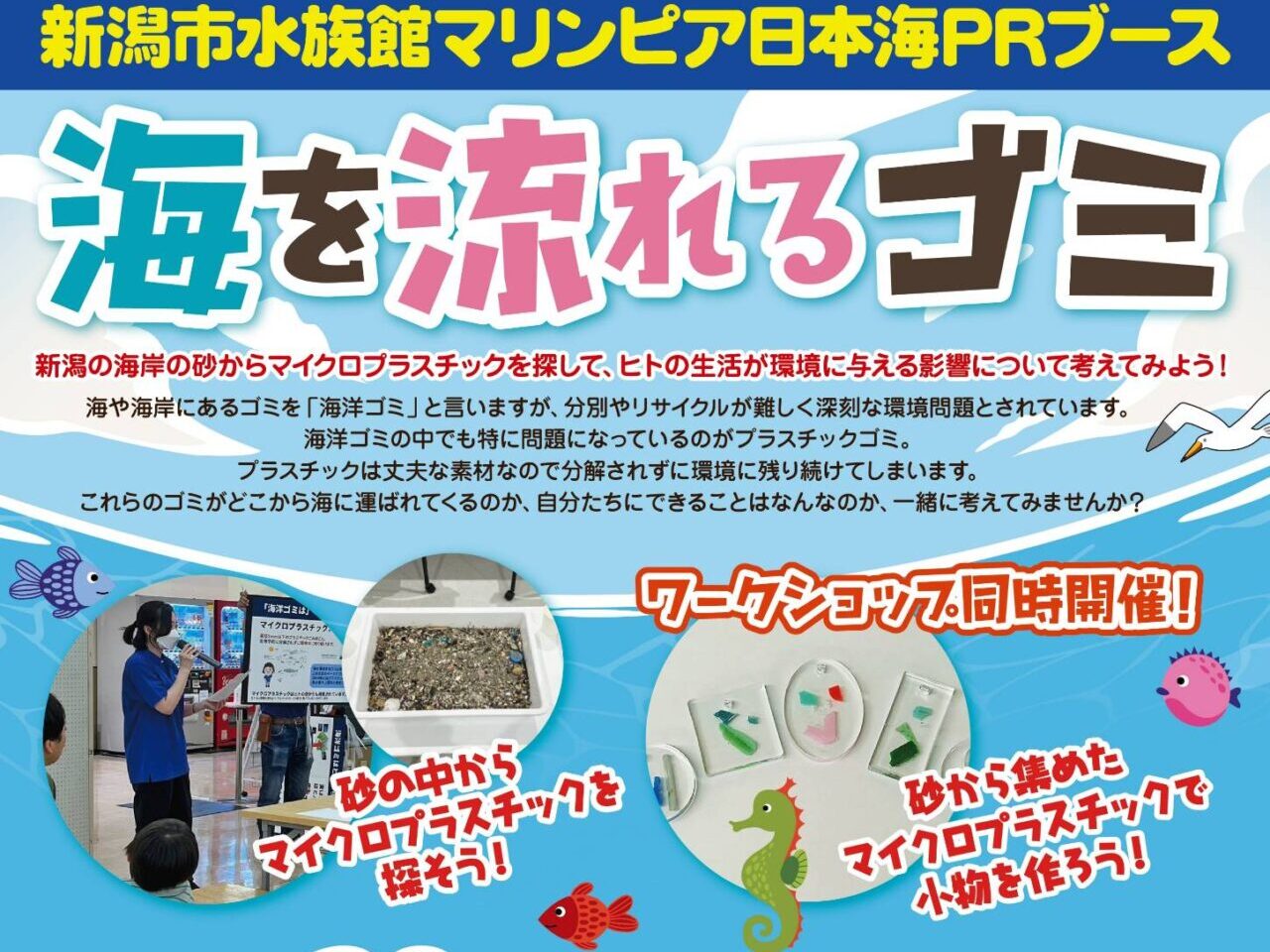 アピタ6月最終