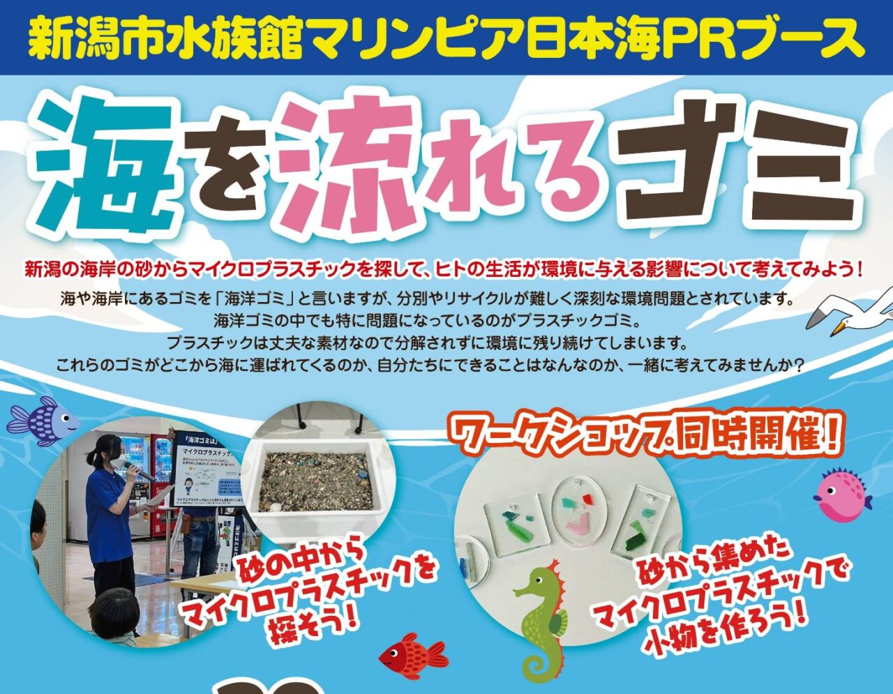 アピタ6月最終