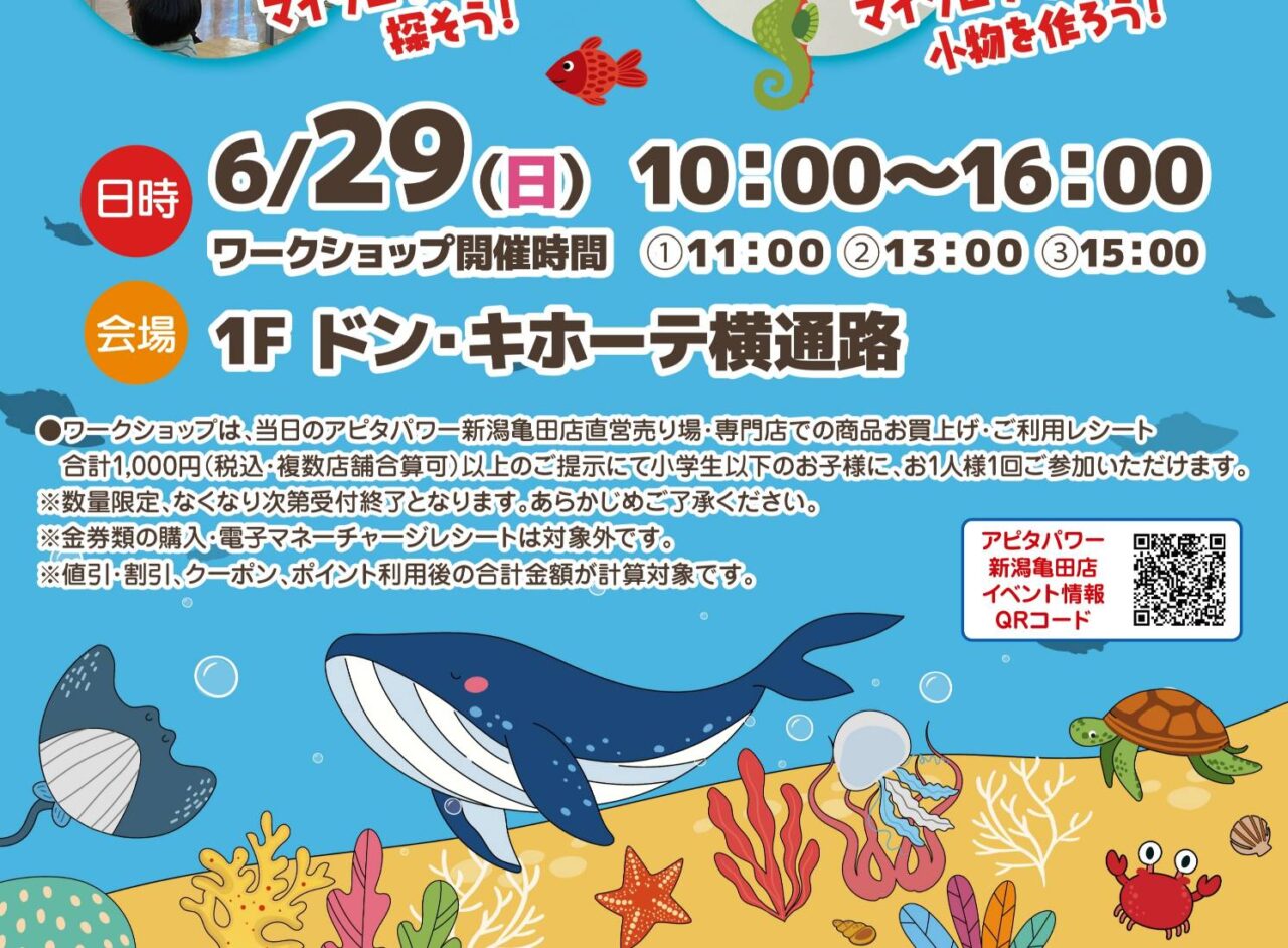 アピタ6月最終