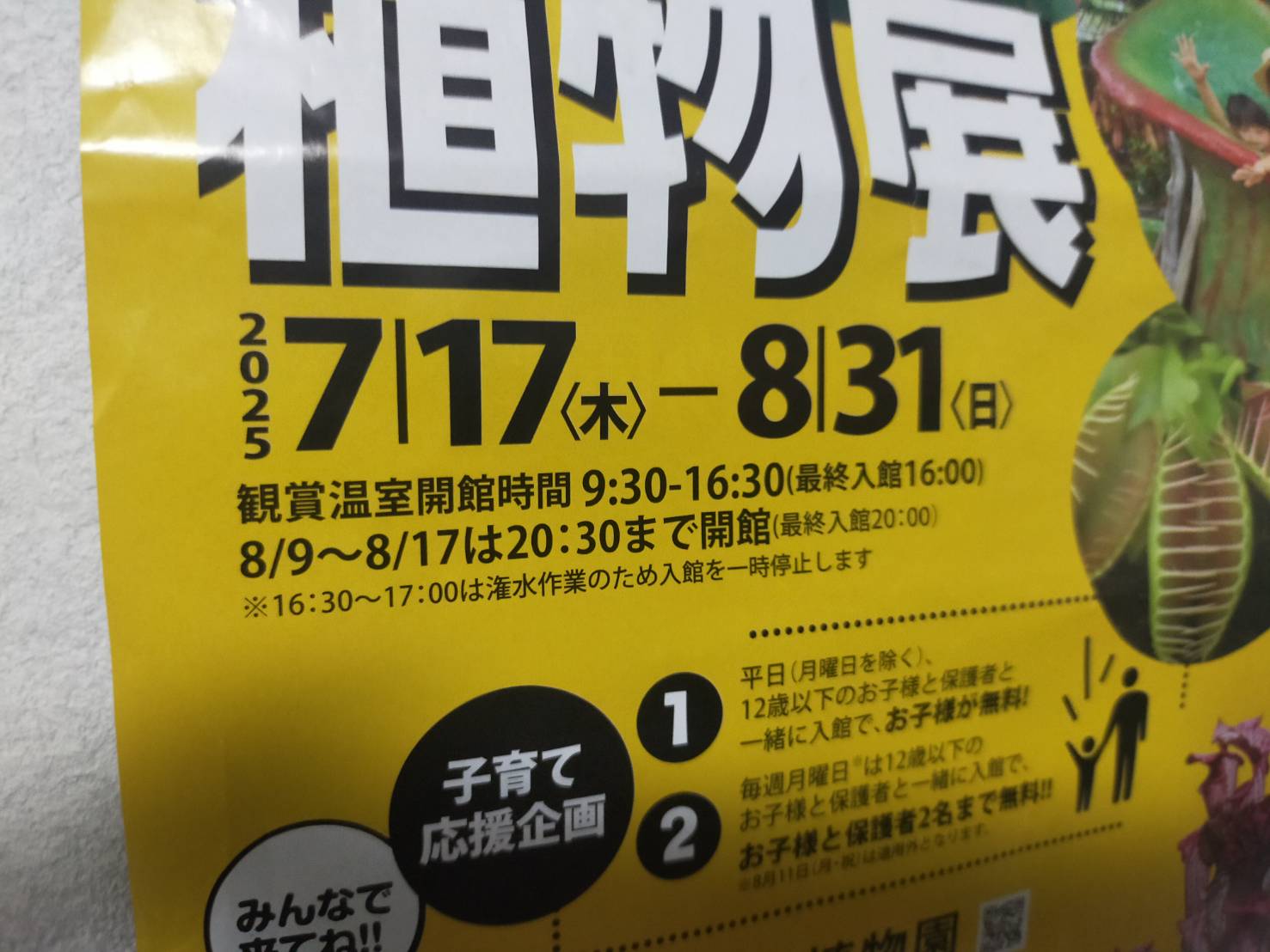 食虫植物