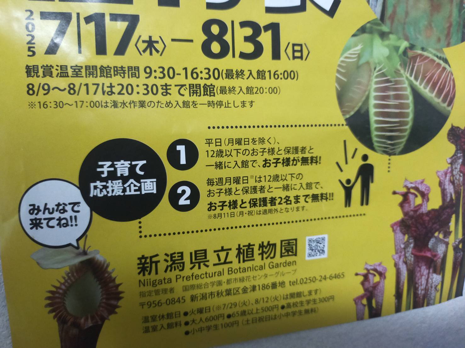 食虫植物