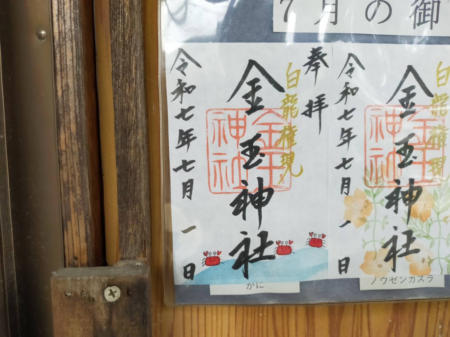 金玉7月