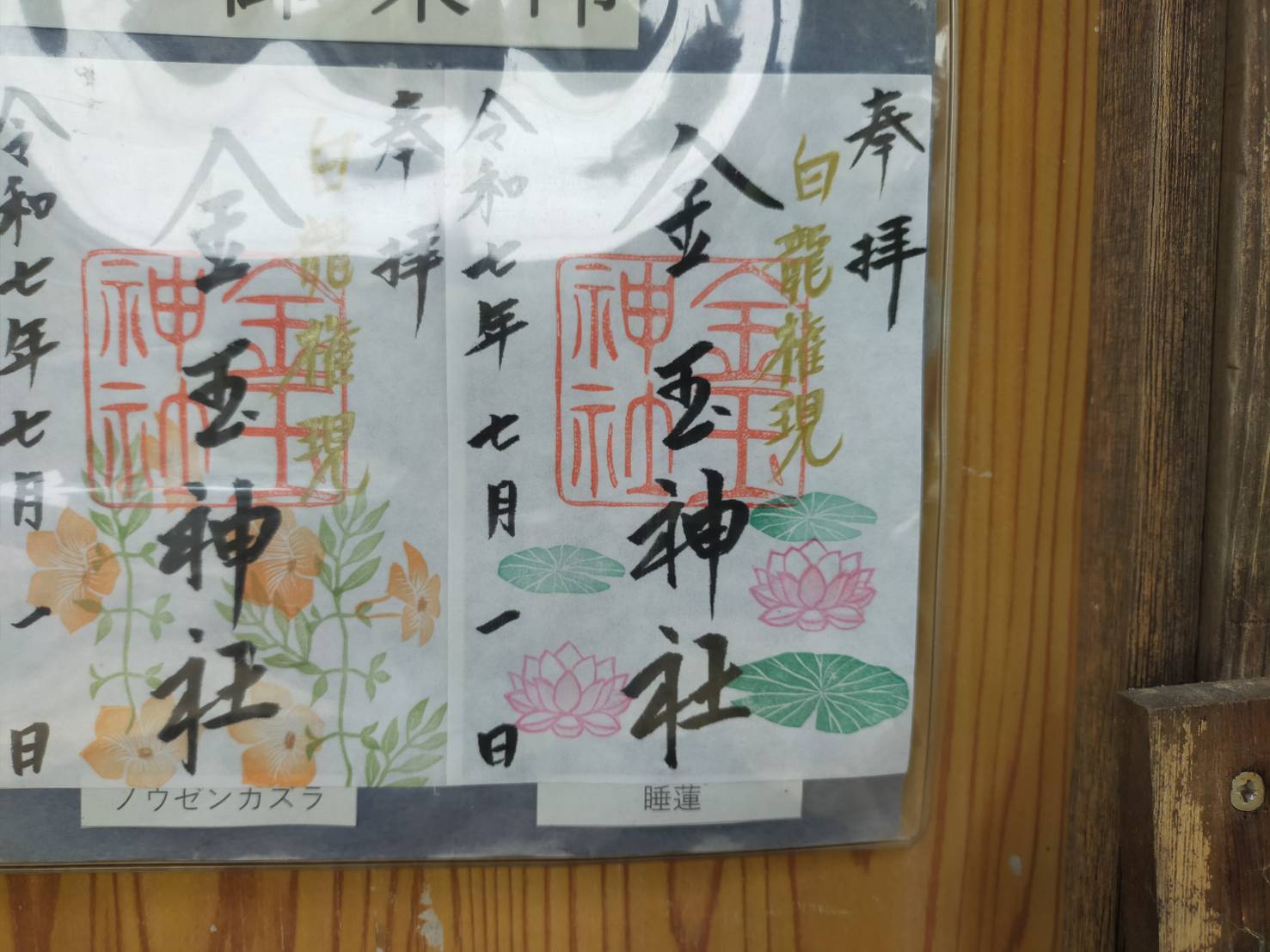 金玉7月
