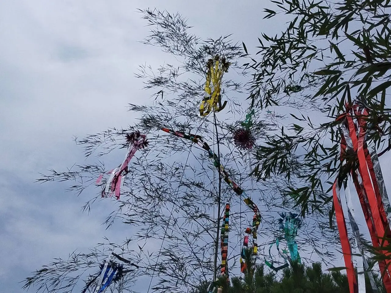 笹川邸七夕