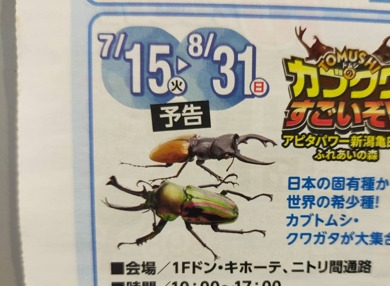 かぶくわ