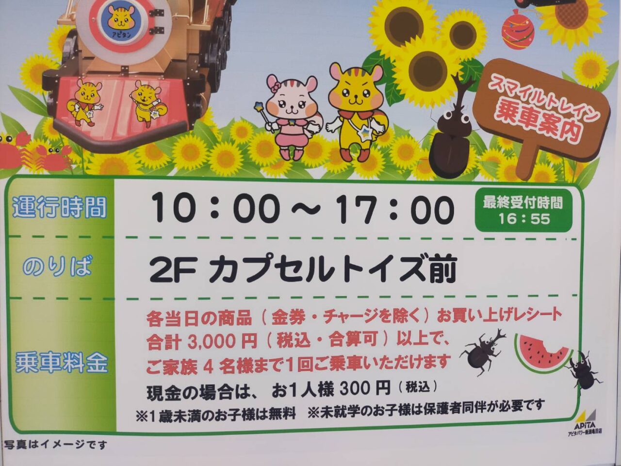 アピタ8月1週