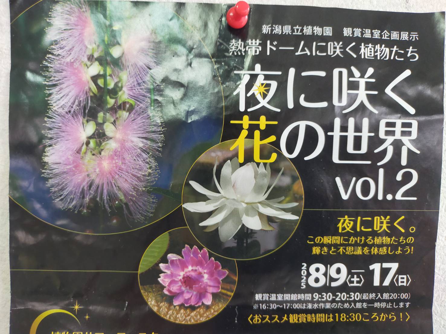 植物園夜