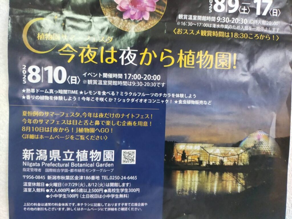 植物園ナイトフェス