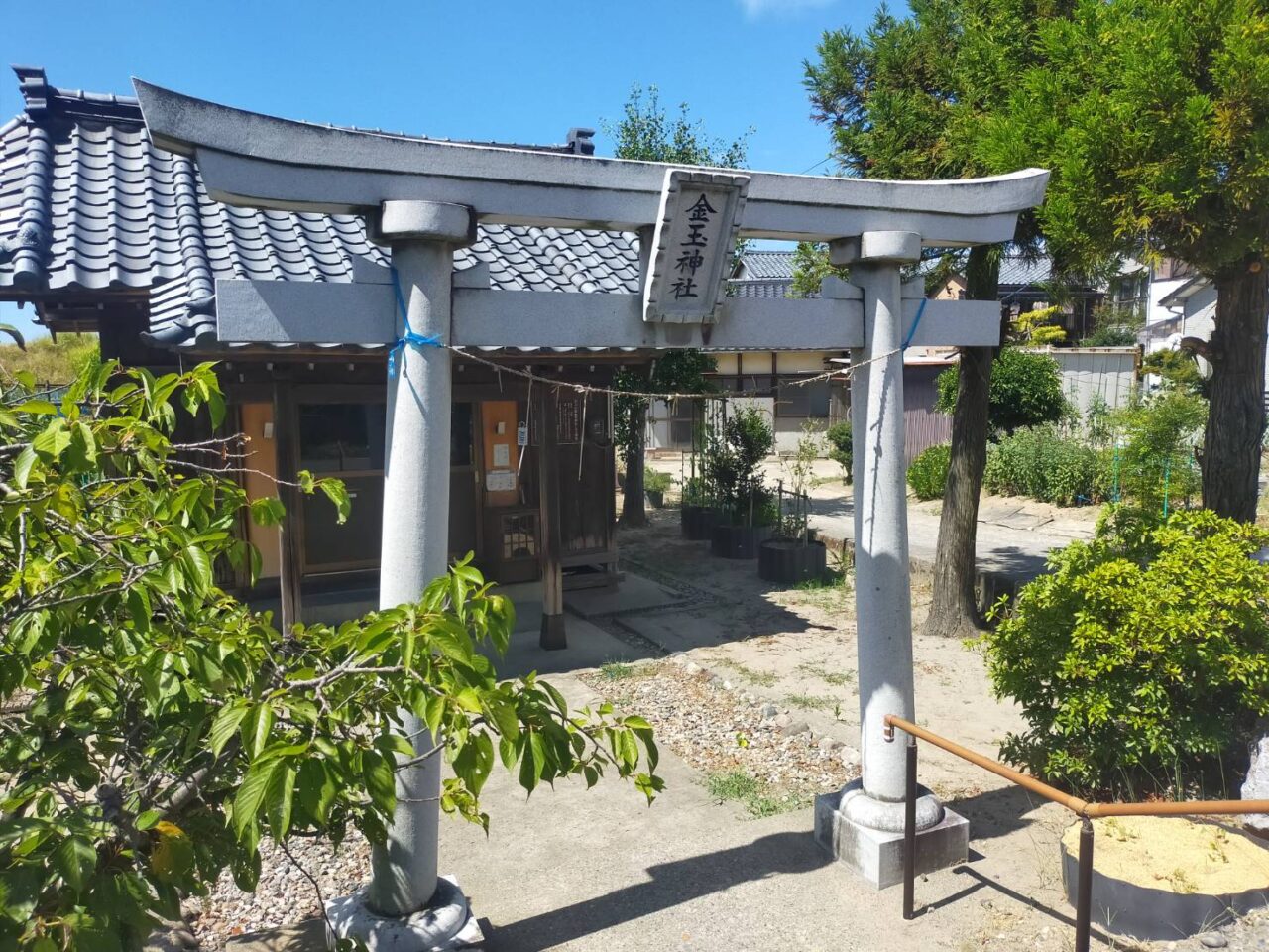 金玉8月