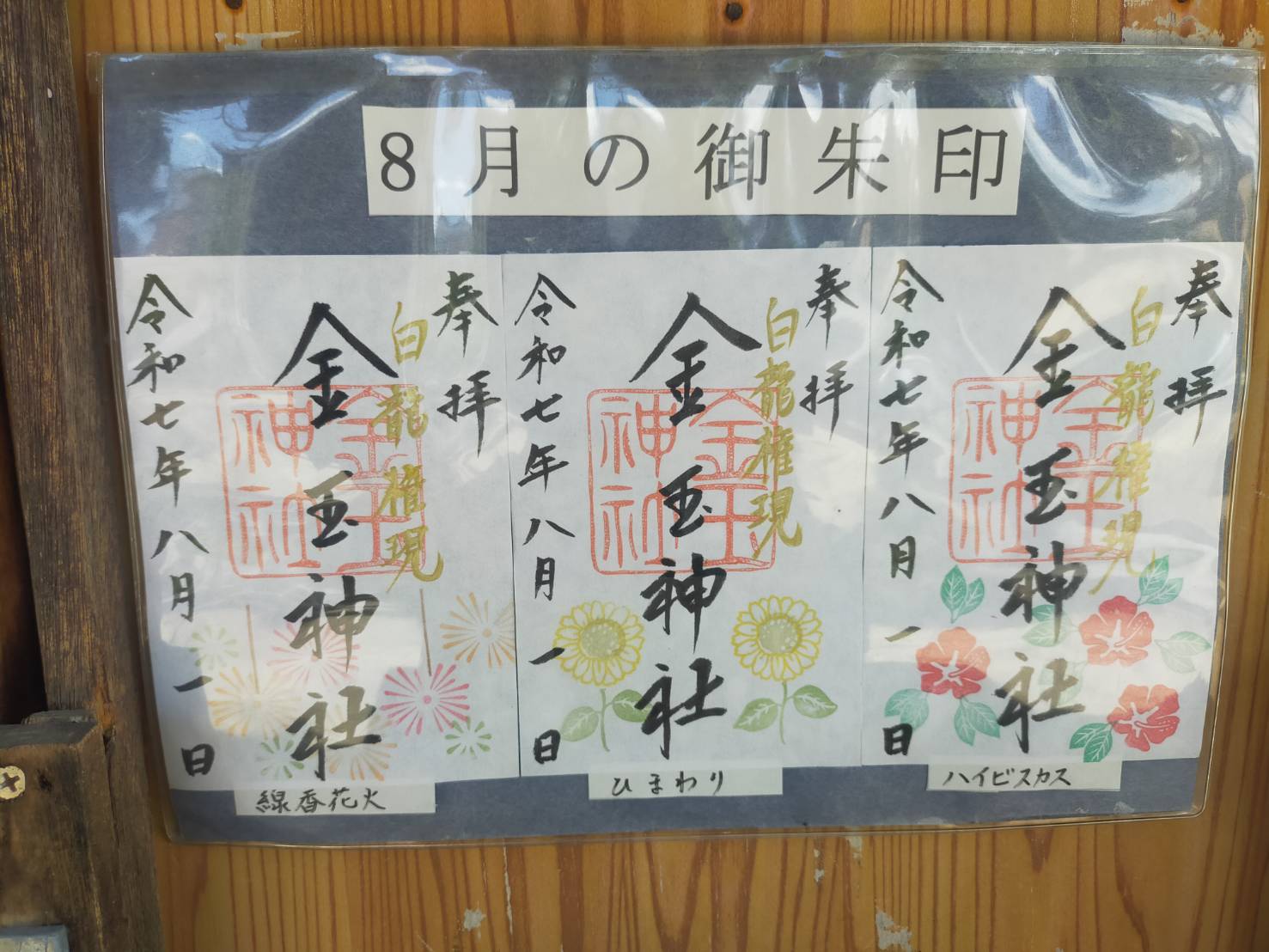 金玉8月