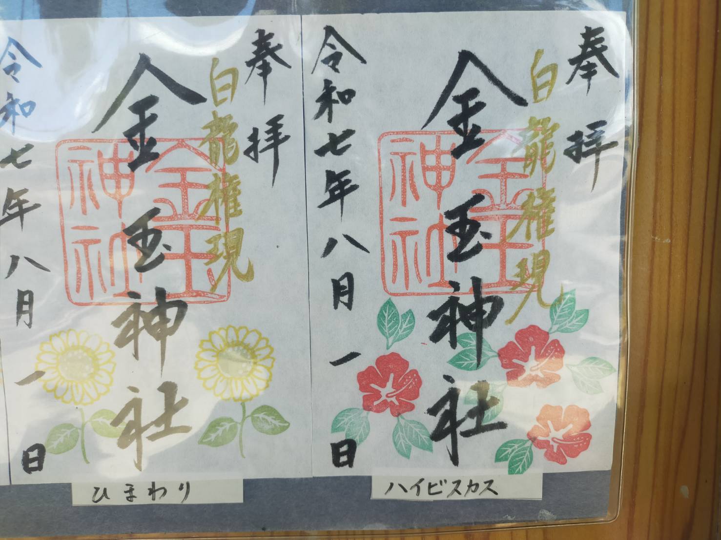 金玉8月