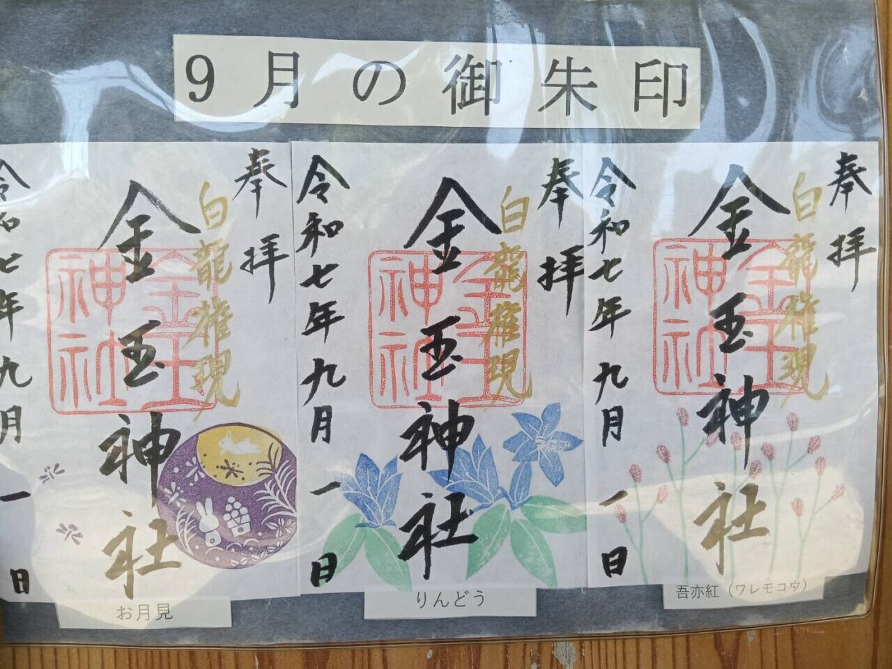 金玉9月
