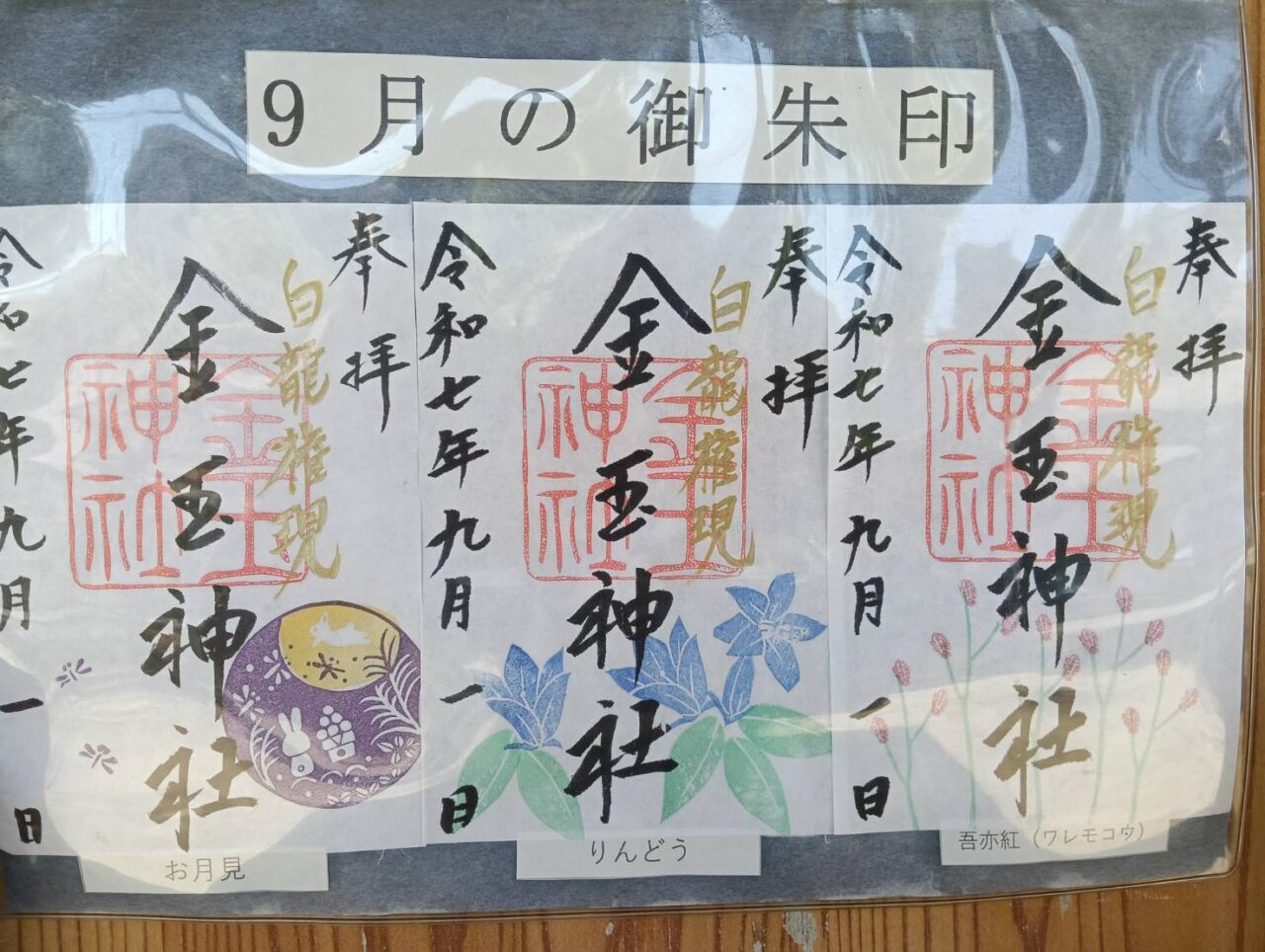 金玉9月