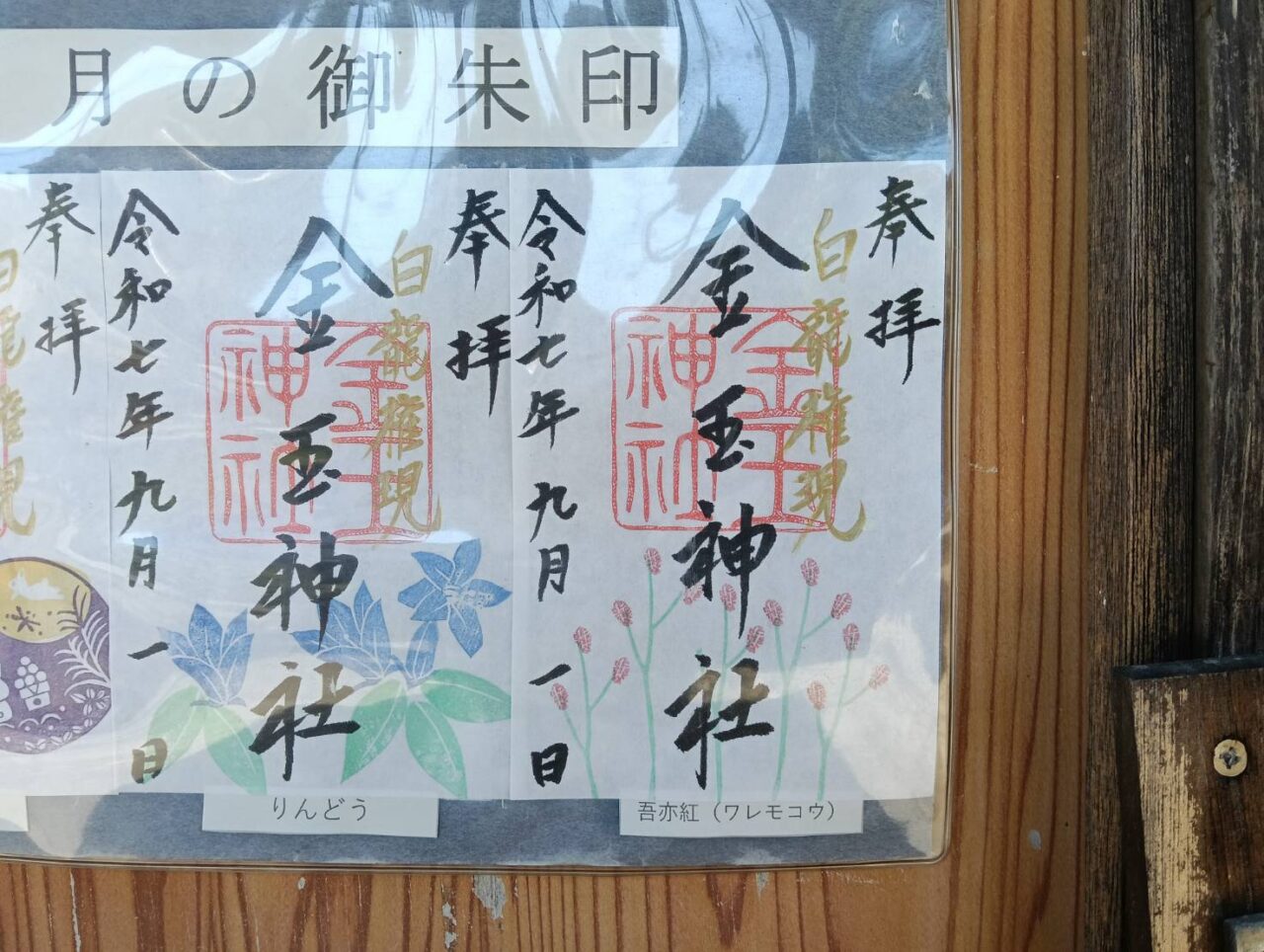 金玉9月