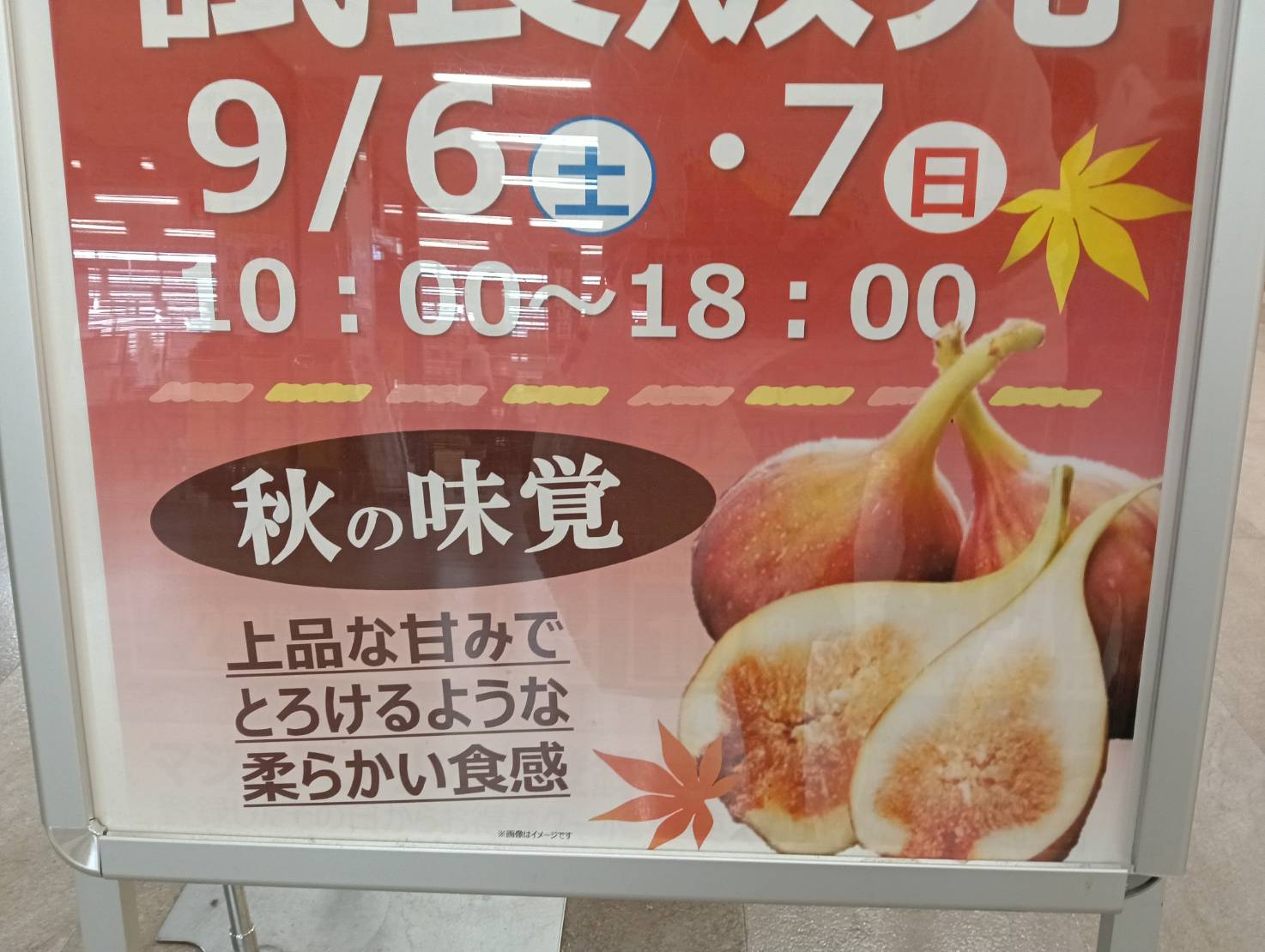 アピタイチジク