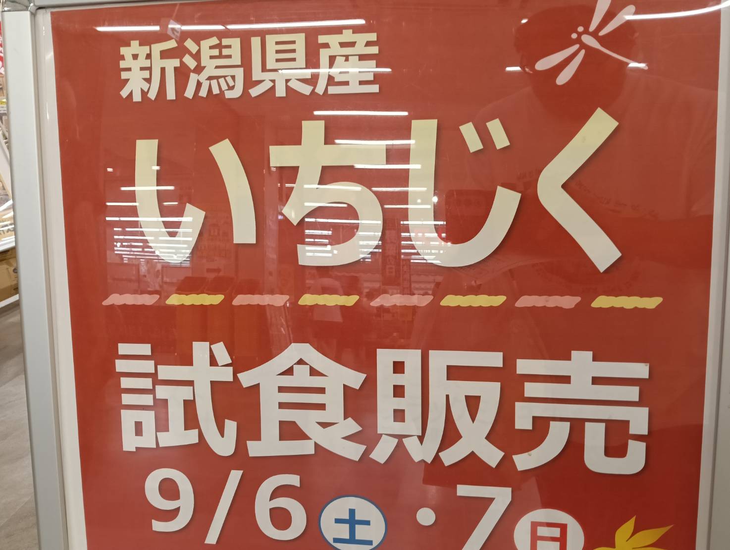 アピタイチジク