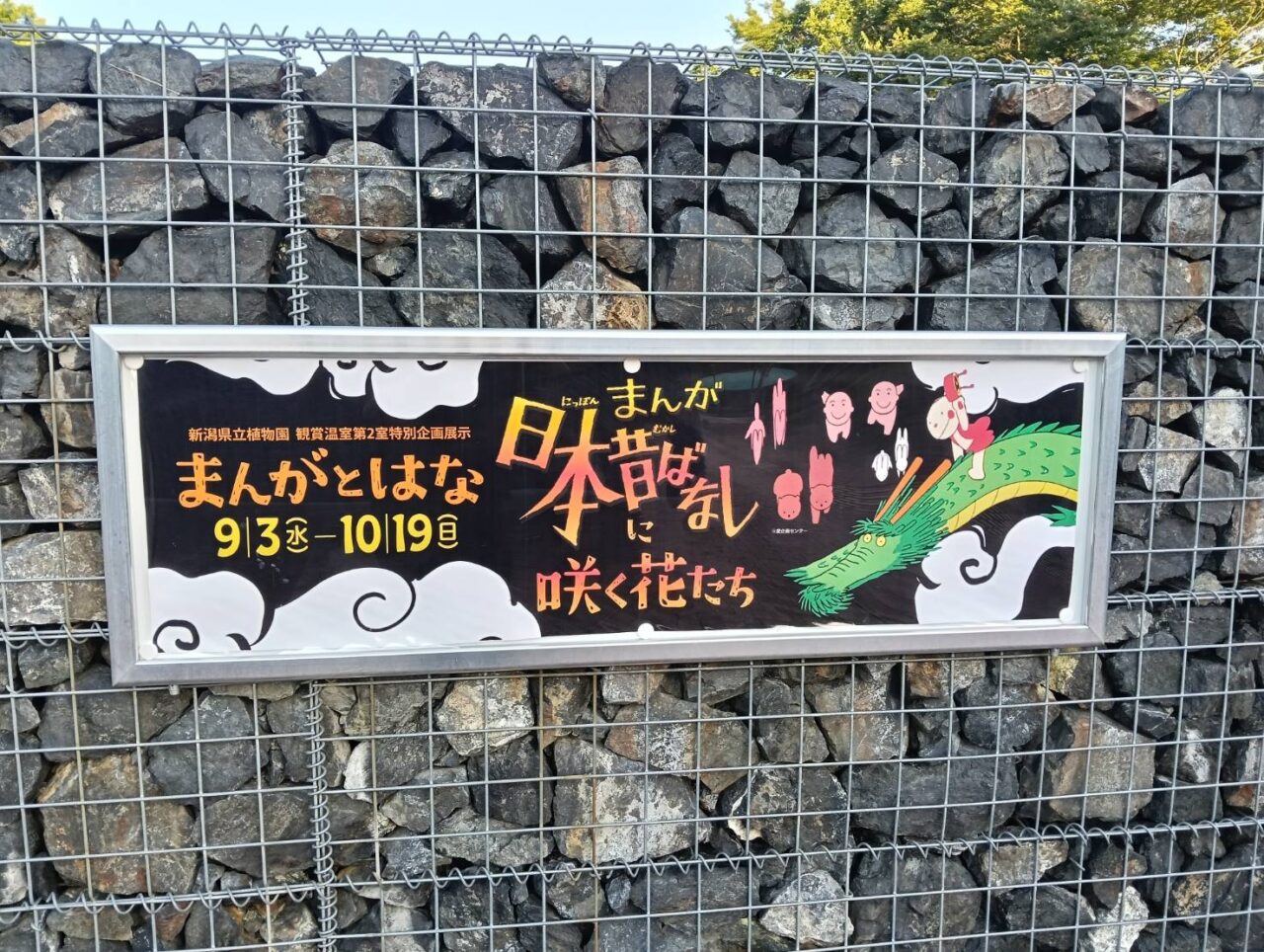 けんりつまんがはな