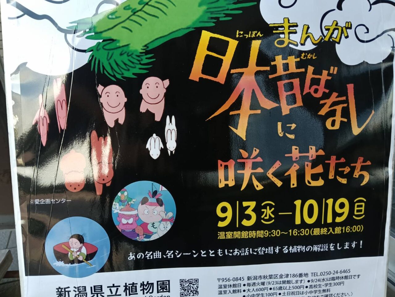 けんりつまんがはな