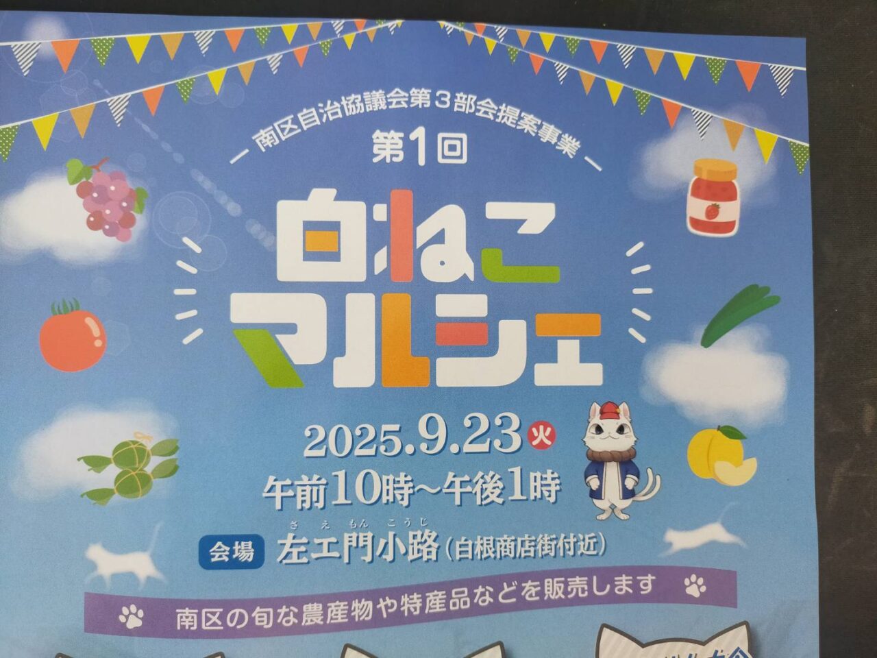 しろねこ