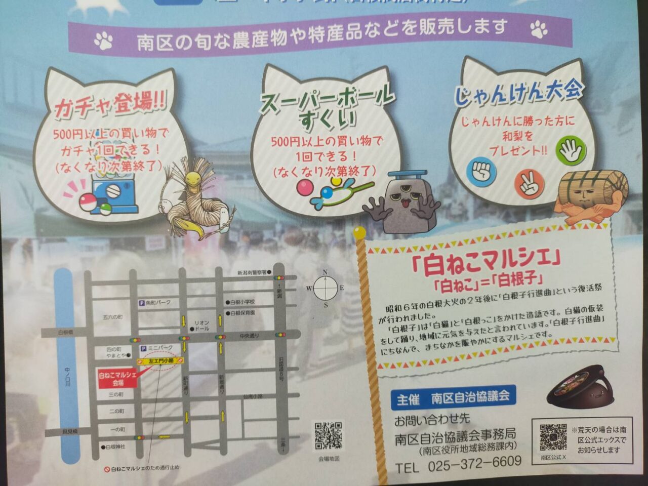 しろねこ