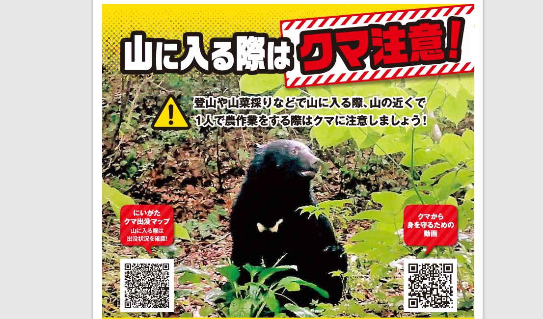 くま