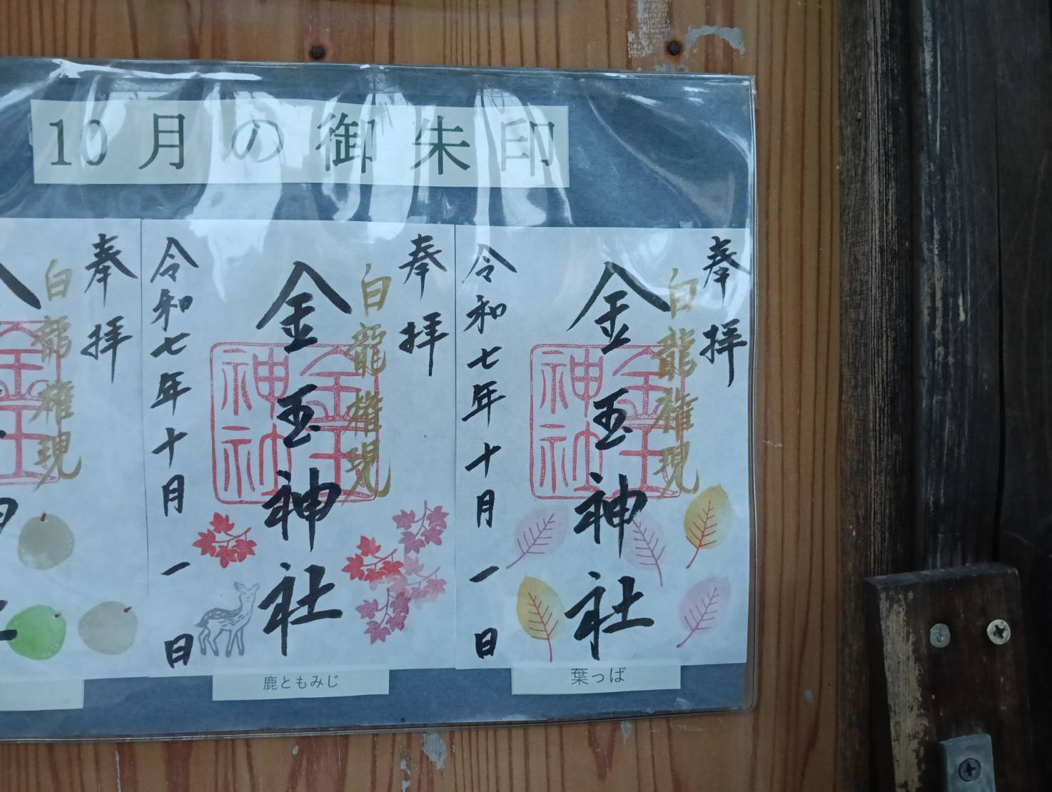 金玉９月