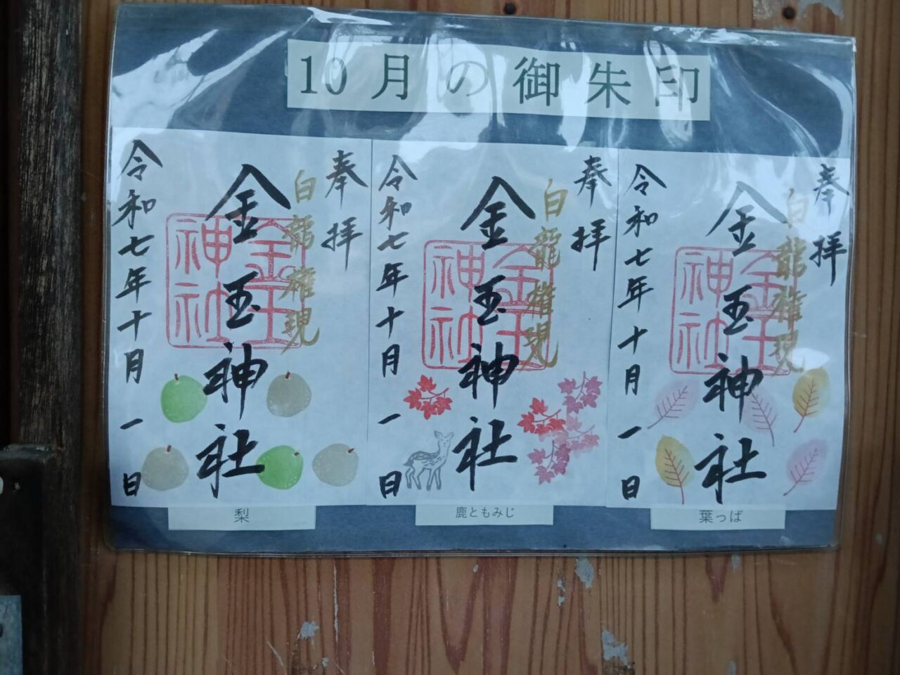 金玉９月